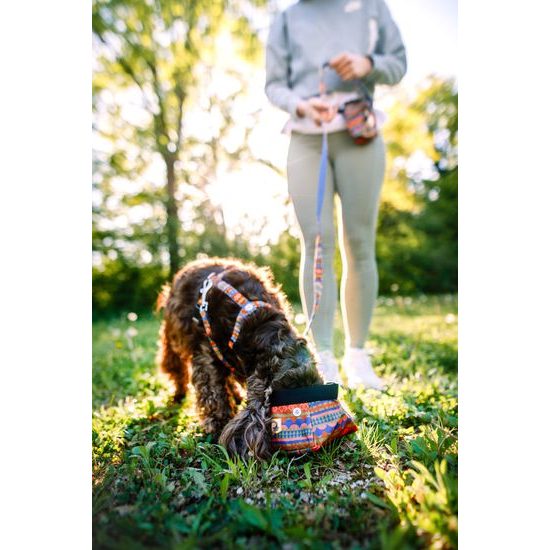 Woolly Wolf Nightless Night Harness