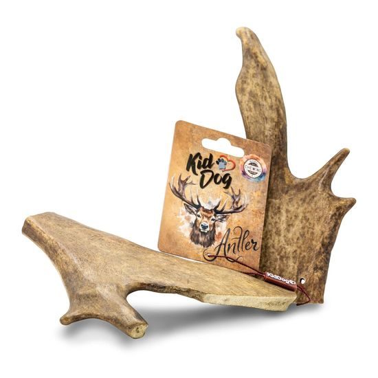 KidDog Antler dančí paroh XL
