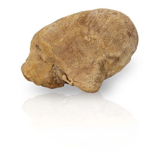 KidDog SUPER PREMIUM 100% kachní srdíčka sušená mrazem 50 g