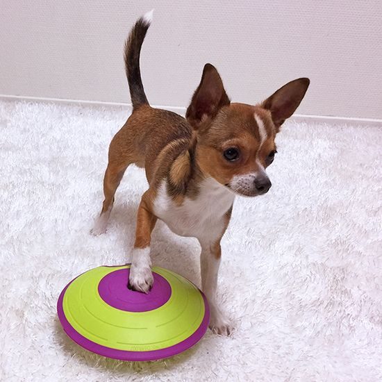 Nina Ottosson Pamlskový hlavolam