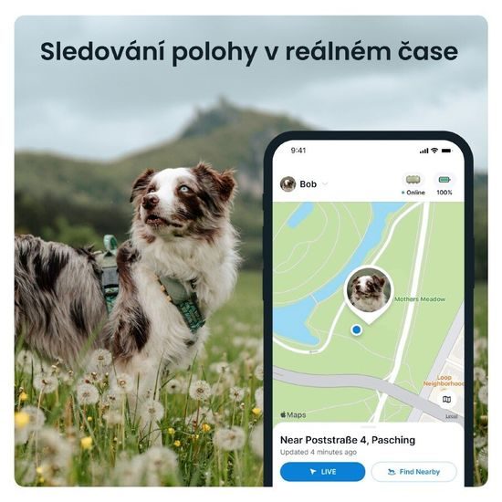 Tractive GPS DOG XL sledování polohy a aktivity pro psy