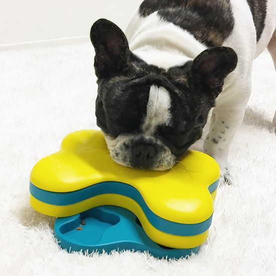 Nina Ottosson Pamlskový hlavolam