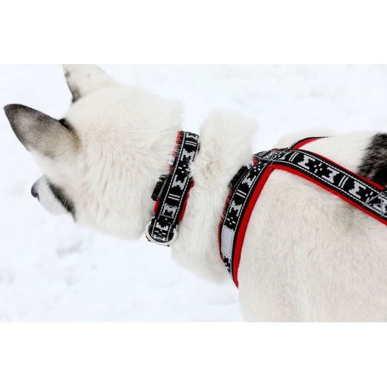 ManMat postroj RUN LONG