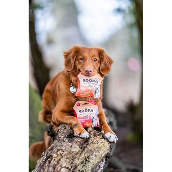 Soopa Pets Soopa Healthy Bites s brusinkami a batáty 50 g