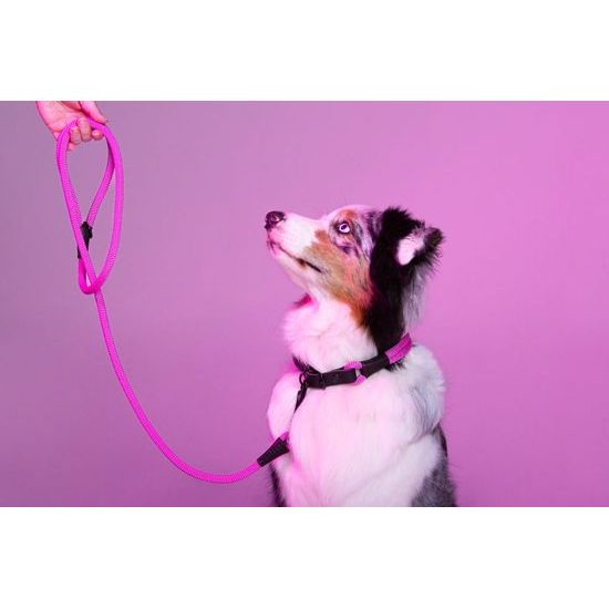 Aminela Vodítko lano s kůží černé kování růžová