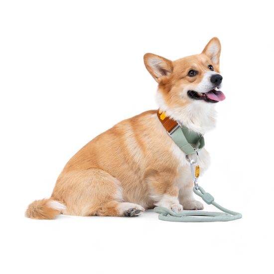 Woolly Wolf Color Block Martingale Collar