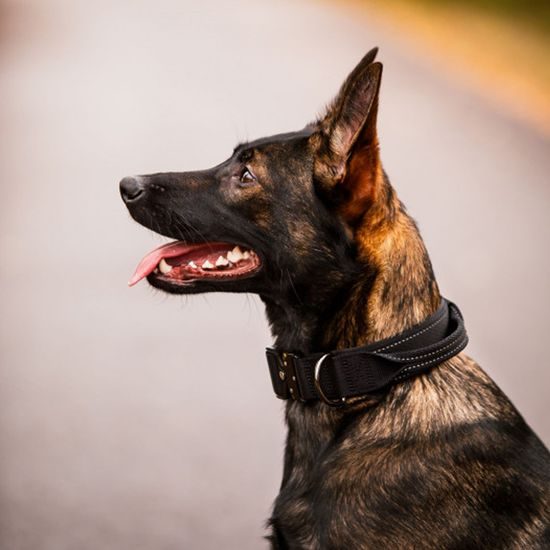 Rukka Mission obojek