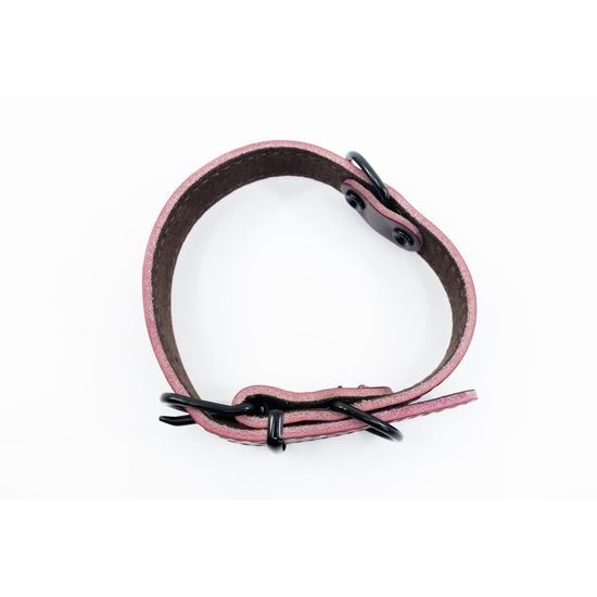 BafPet Kožený obojek ARGUS černé kování bordó