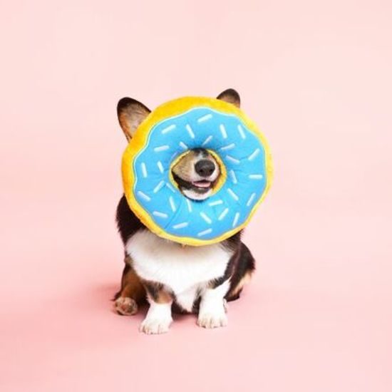 ZippyPaws Jumbo Donutz