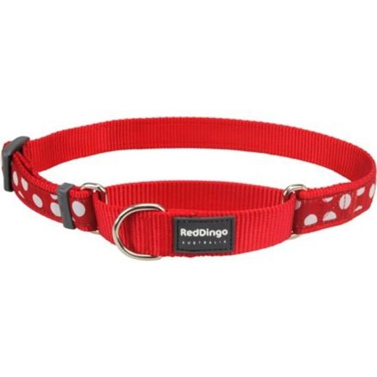 Red Dingo Obojek polostahovací 2,5cm x 41-62cm