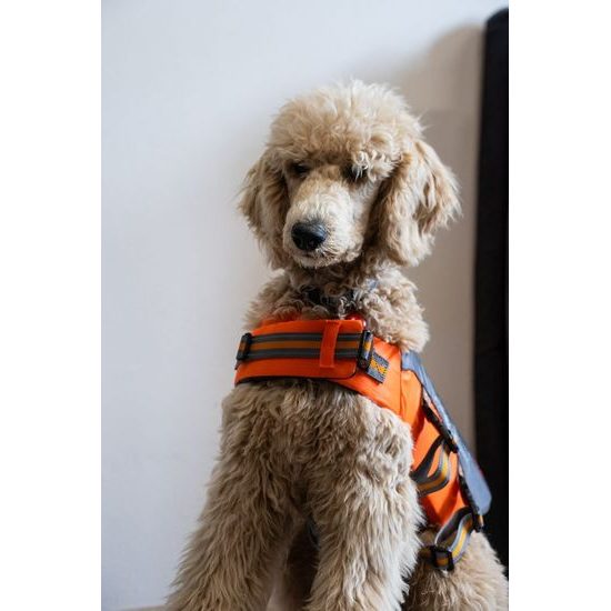 Farm Company záchranná plovací vesta XS