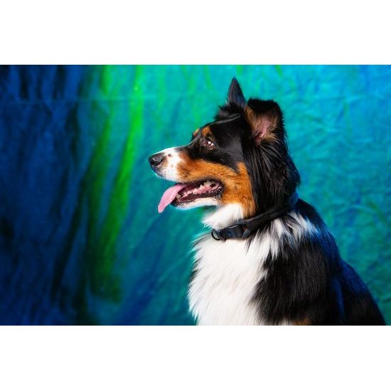 Aminela Obojek lano s kůží černé kování šedá