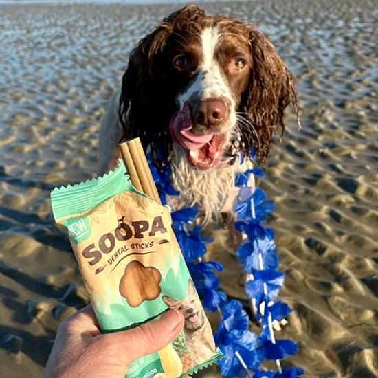 Soopa Pets Dentální tyčinky Soopa Paw-Na Colada 100 g