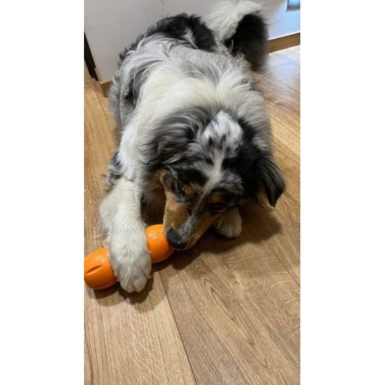 West Paw Qwizl odolná plnící hračka L Granny Smith