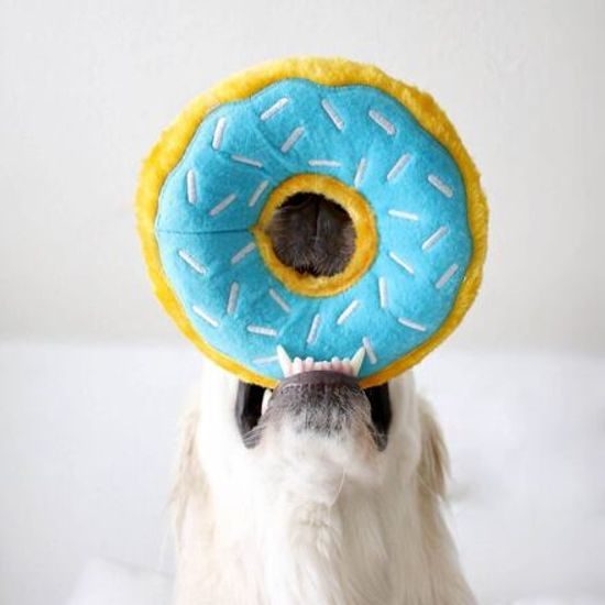 ZippyPaws Donutz