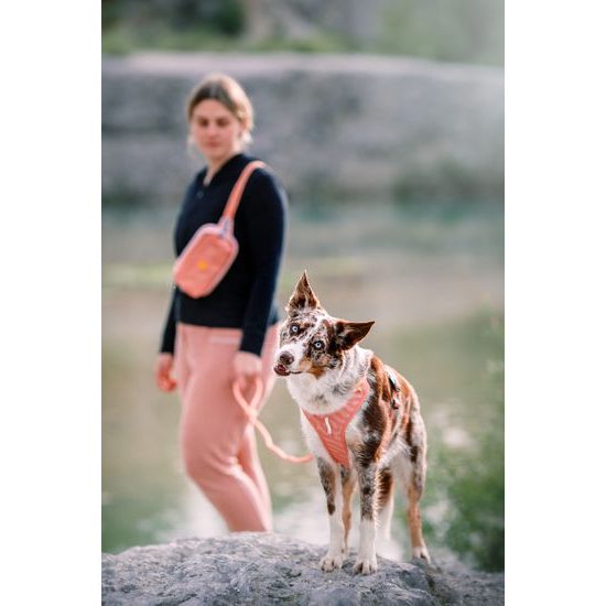 Woolly Wolf Roam Harness