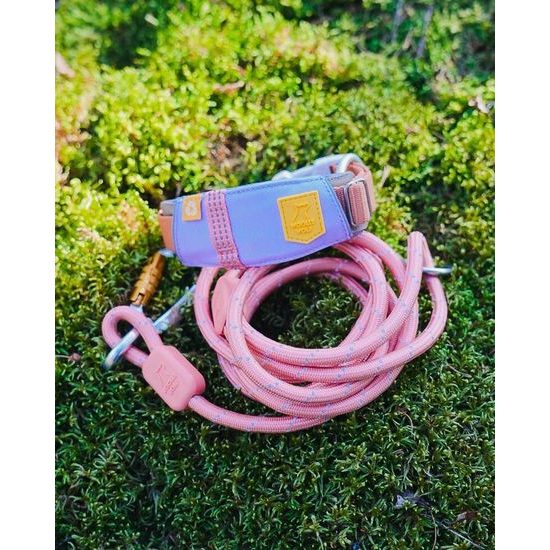 Woolly Wolf Alpha 360 Collar