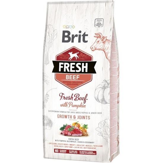 Brit Fresh Puppy Large Beef with Pumpkin 12 kg