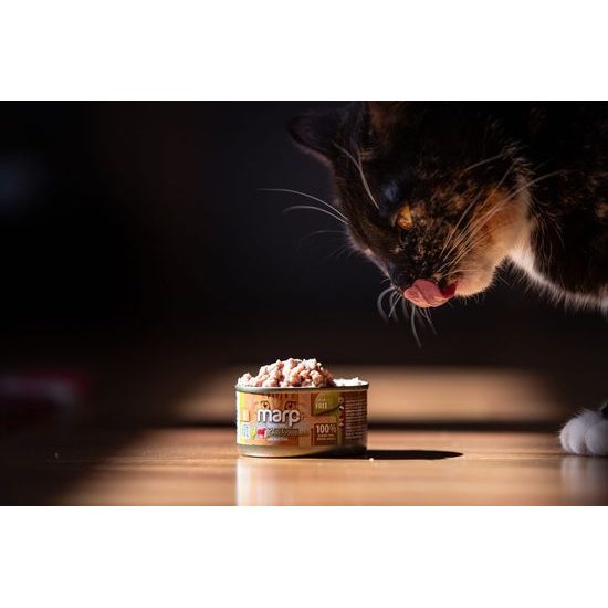 Marp Holistic Plus konzerva pro kočky Kuřecí paté s hovězími kousky 24x70g