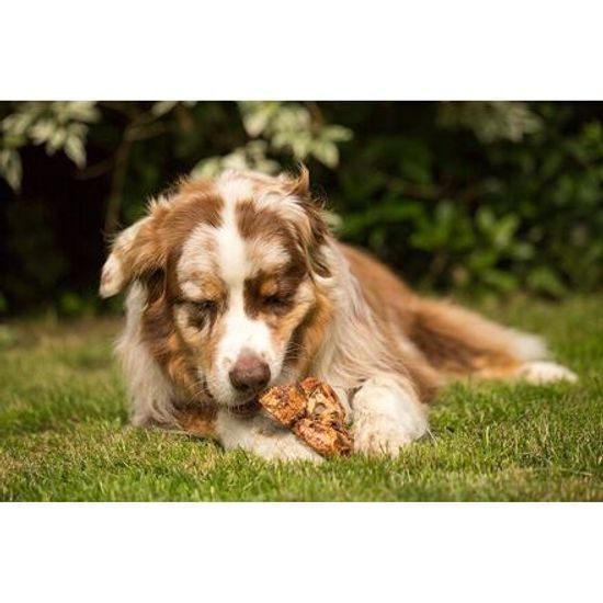 Chewies Vřesové kořeny Chewies na žvýkání M