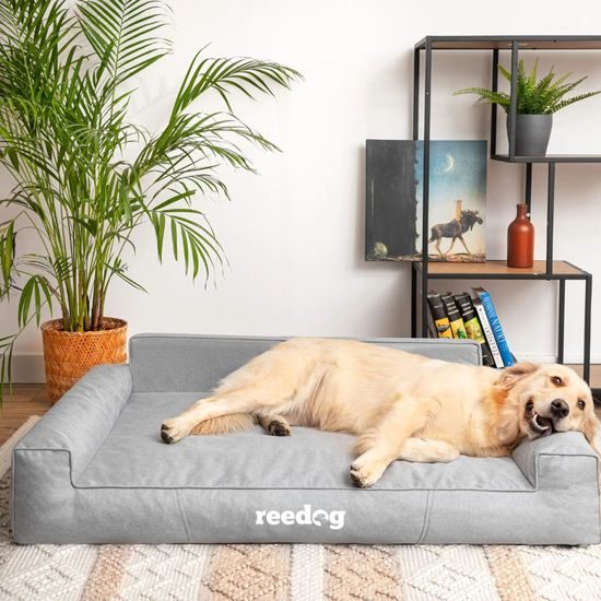 Reedog Pelíšek Glamour Ekolen Ash