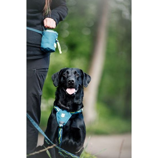 Woolly Wolf Horizon Snack Bag