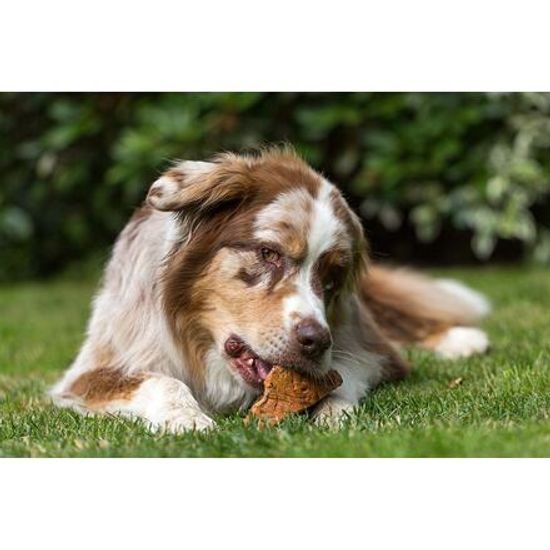 Chewies Vřesové kořeny Chewies na žvýkání S