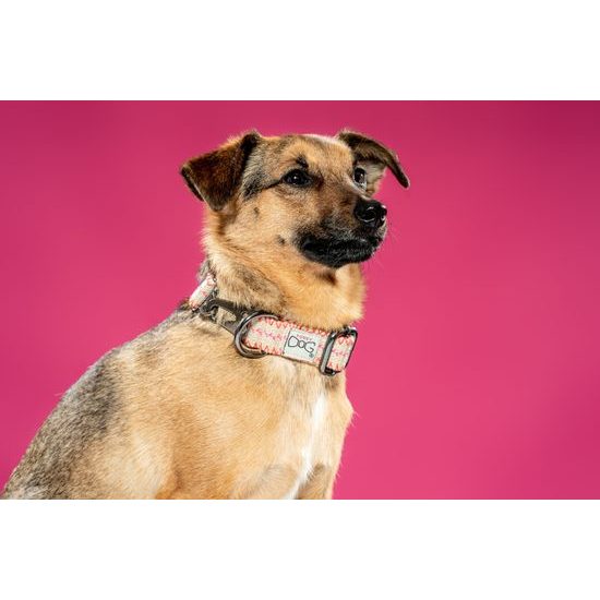 FUNKY DOG Konopný ekologický obojek pro psa