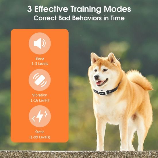 Patpet Elektronický výcvikový obojek 681