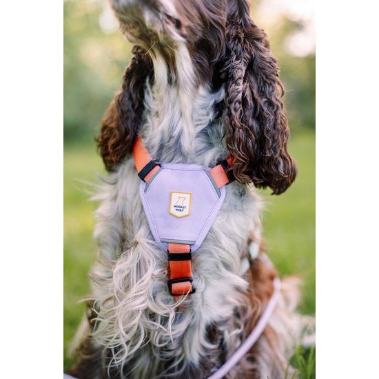 Woolly Wolf Color Block Harness