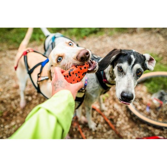 Non-stop dogwear Hračka Dog throw toy