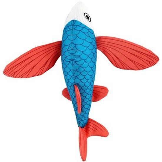 AFP Chill Out Létající ryba