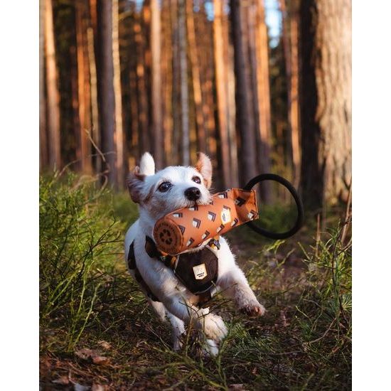 Woolly Wolf Sea To Summit Floaty Fetch Toy