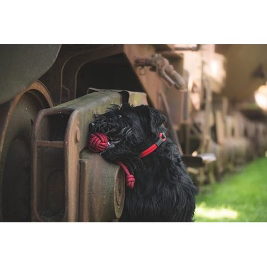 BAFPET Pešek HAMER kulatý bordó