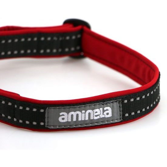 Aminela obojek se sponou Sport & City 25mm/35-60cm červená