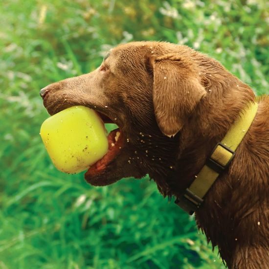 Ruff Dawg nezničitelná hračka pro psy kostka 8,9cm pro velké psy nad 18 kg