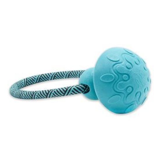 Akinu ČESKÝ LES Houba s provazem hračka pro psy nebeská modrá