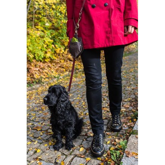 FUNKY DOG Hnědý pamlskovník Piňamka