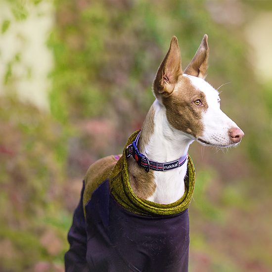 Rukka Subrima Technical overall/kombinéza