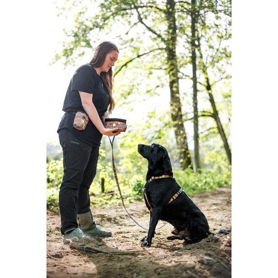 Woolly Wolf Nightless Night Harness