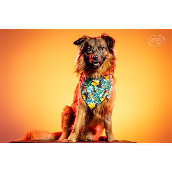 FUNKY DOG Barevný šátek s tukany