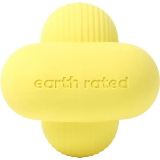 Earth Rated Fetch Toy Aportovací míček – L