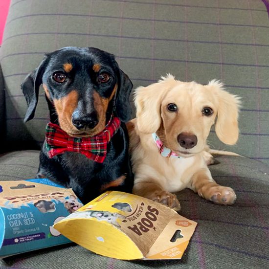 Soopa Pets Soopa Healthy Bites s kokosem a chia semínky 50 g