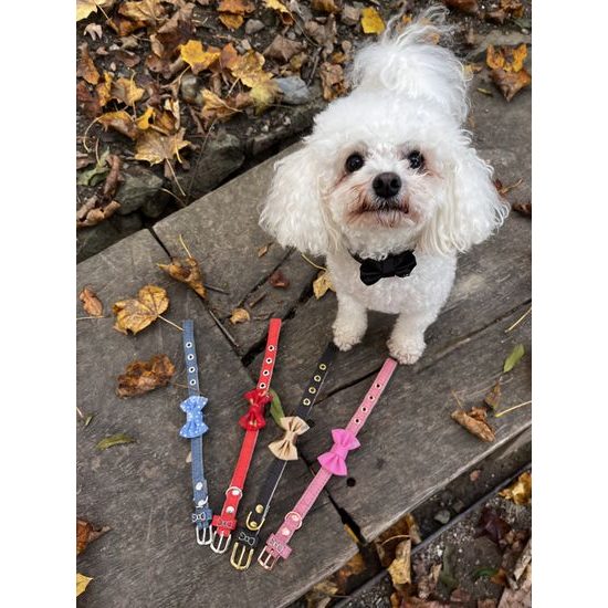 FUNKY DOG XXS Piñatex 1cm obojek a motýlek