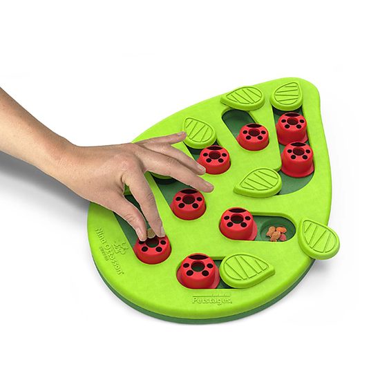 Nina Ottosson Pamlskový hlavolam