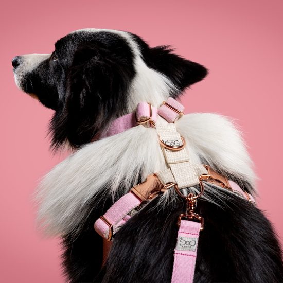 FUNKY DOG Konopné krátké vodítko pro psa 1,7 m světlé růžové