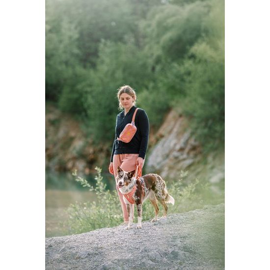 Woolly Wolf Roam Harness