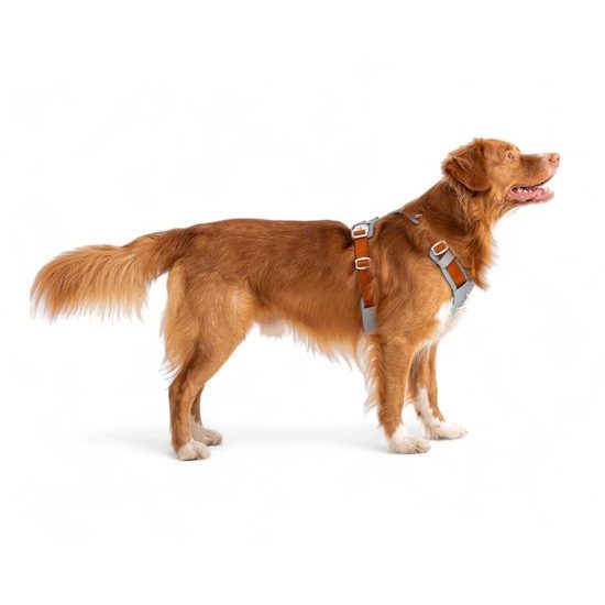 Woolly Wolf Alpha 360 Harness