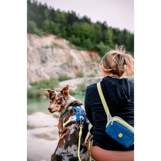 Woolly Wolf Alpha 360 Hip Pack