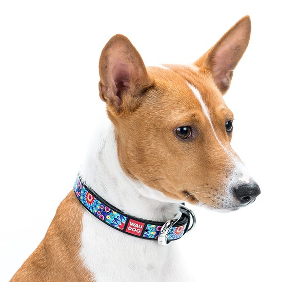 WAUDOG Obojek kožený Flowers